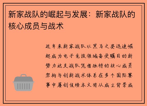 新家战队的崛起与发展：新家战队的核心成员与战术