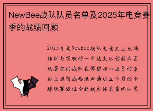 NewBee战队队员名单及2025年电竞赛季的战绩回顾